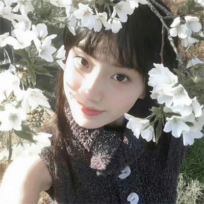 加菲猫和他的朋友们第七季