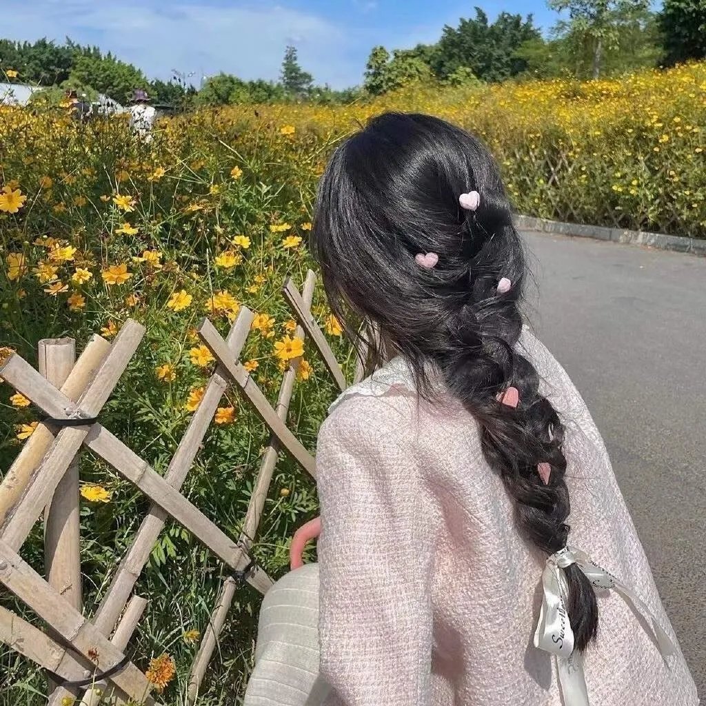 屋顶上的猫